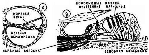 Шаг за шагом. Усилители и радиоузлы - _148.jpg