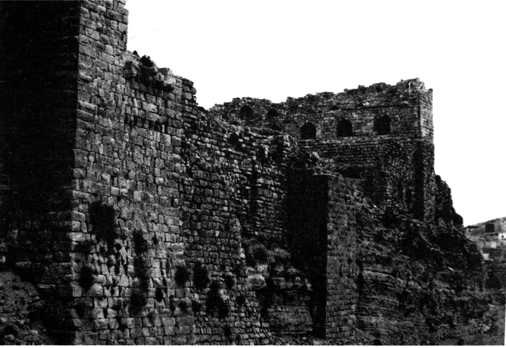 Крестовые походы: в 2 т. Т. 1. - i_075.png