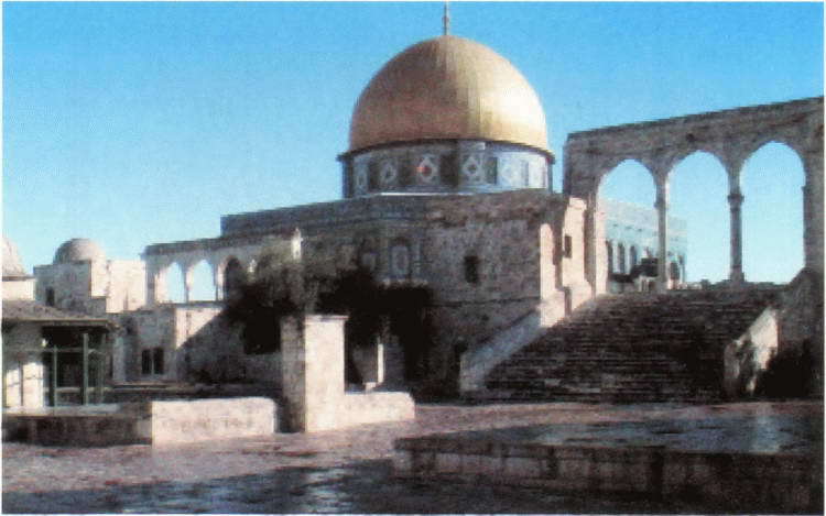 Крестовые походы: в 2 т. Т. 1. - i_086.jpg