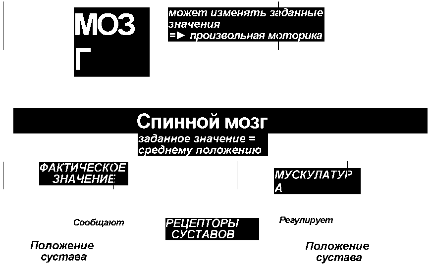 Равновесие в движении. Посадка всадника - i_009.png