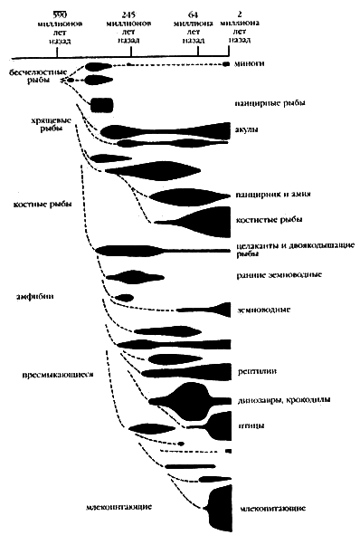 Запретная археология - image06.png