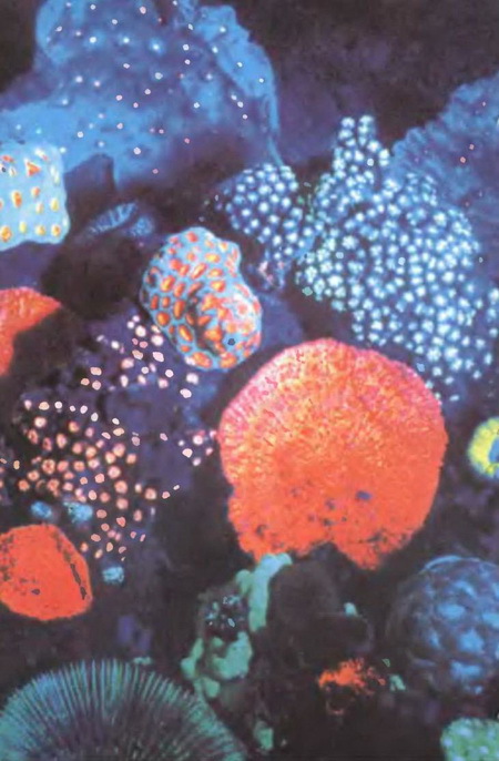 Знание-сила, 2001 №04 - pic_97.jpg