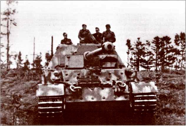 Panzerjager Tiger (P) «Ferdinand» - i_009.jpg