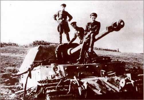 Panzerjager Tiger (P) «Ferdinand» - i_014.jpg