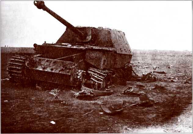 Panzerjager Tiger (P) «Ferdinand» - i_021.jpg