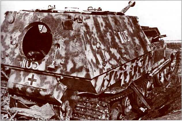 Panzerjager Tiger (P) «Ferdinand» - i_023.jpg