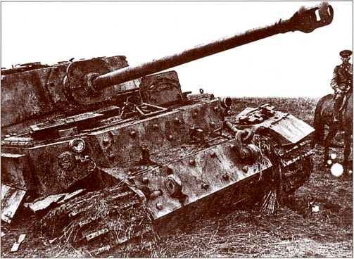 Panzerjager Tiger (P) «Ferdinand» - i_024.jpg