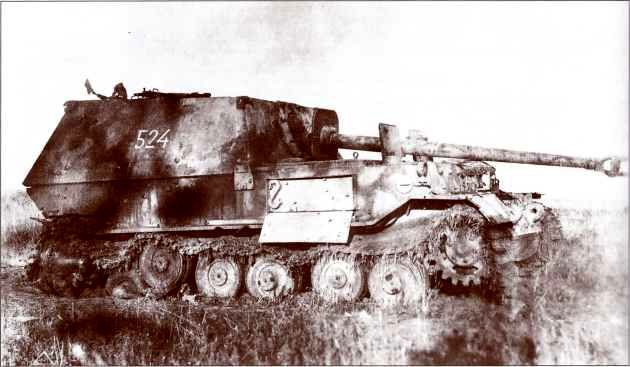 Panzerjager Tiger (P) «Ferdinand» - i_033.jpg