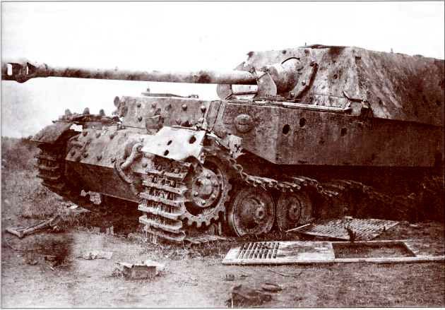 Panzerjager Tiger (P) «Ferdinand» - i_051.jpg