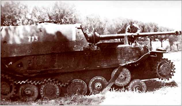 Panzerjager Tiger (P) «Ferdinand» - i_093.jpg