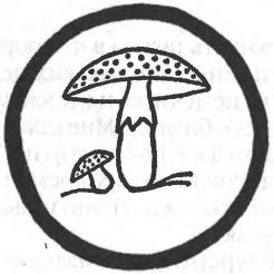 Мемуары шулера - i_030.jpg