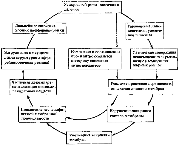 Биофизика познает рак - i_017.png