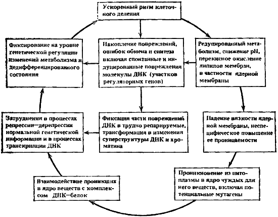 Биофизика познает рак - i_018.png