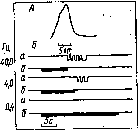 Мозг в электромагнитных полях - i_005.png