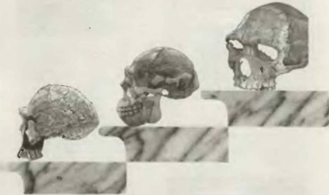 Знание-сила, 2001 №06 (888) - pic_44.jpg