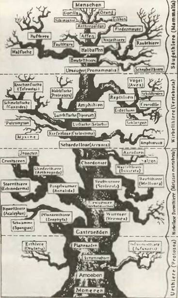 Знание-сила, 2001 №06 (888) - pic_45.jpg