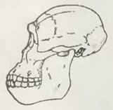 Знание-сила, 2001 №06 (888) - pic_46.jpg