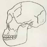 Знание-сила, 2001 №06 (888) - pic_47.jpg