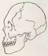 Знание-сила, 2001 №06 (888) - pic_48.jpg