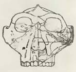 Знание-сила, 2001 №06 (888) - pic_50.jpg