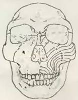 Знание-сила, 2001 №06 (888) - pic_51.jpg