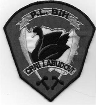 Мортальность в литературе и культуре - i_031.jpg