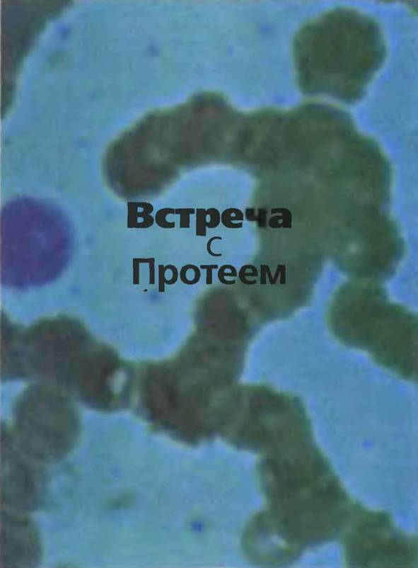 Знание-сила, 2002 №02 (896) - pic_5.jpg