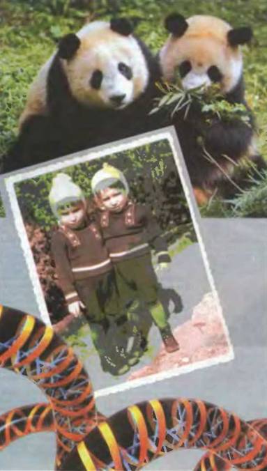 Знание-сила, 2001 №10 (892) - pic_54.jpg