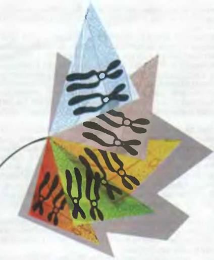 Знание-сила, 2001 №10 (892) - pic_55.jpg