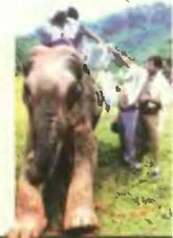 Знание-сила, 2001 №10 (892) - pic_109.jpg