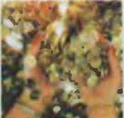 Знание-сила, 2001 №9 (891) - pic_14.jpg