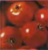 Знание-сила, 2001 №9 (891) - pic_16.jpg