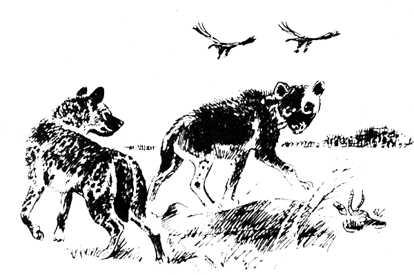 Семья Майклов в Африке - i_001.png