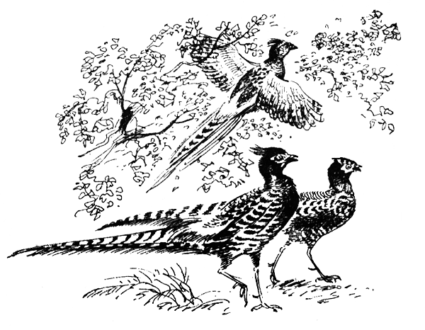 Семья Майклов в Африке - i_025.png