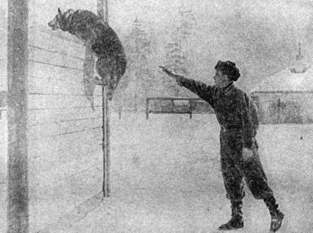 Собаковод-любитель - i_026.jpg