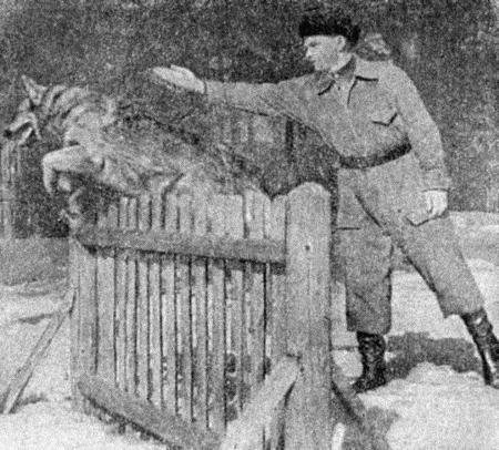 Собаковод-любитель - i_027.jpg