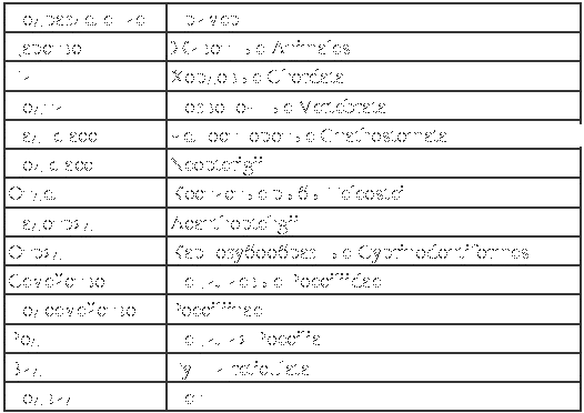 Золотая книга аквариумиста - golden_book_fish1.png