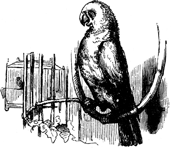 Все сказки Ганса Христиана Андерсена - i_033.png