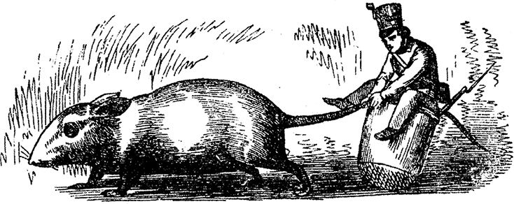 Все сказки Ганса Христиана Андерсена - i_050.png