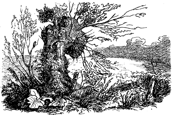 Все сказки Ганса Христиана Андерсена - i_055.png