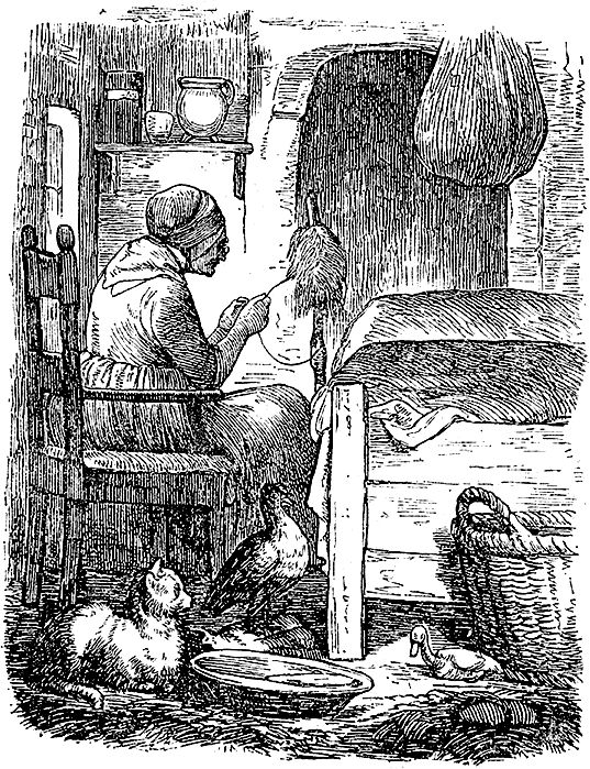 Все сказки Ганса Христиана Андерсена - i_065.png