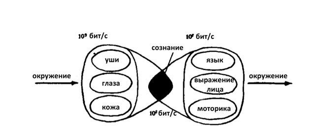 Иллюзия пользователя. Урезание сознания в размерах - i_013.jpg