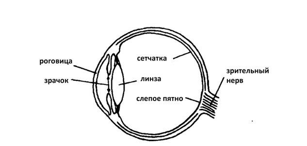 Иллюзия пользователя. Урезание сознания в размерах - i_015.jpg