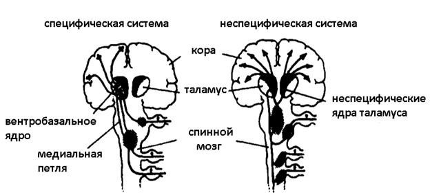 Иллюзия пользователя. Урезание сознания в размерах - i_030.jpg