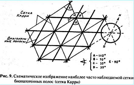 Биопатогенные зоны – угроза заболевания - _09.jpg