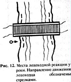 Биопатогенные зоны – угроза заболевания - _12.jpg