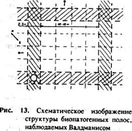 Биопатогенные зоны – угроза заболевания - _13.jpg