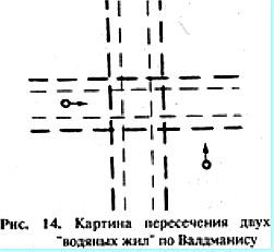 Биопатогенные зоны – угроза заболевания - _14.jpg