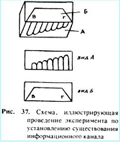 Биопатогенные зоны – угроза заболевания - _34.jpg