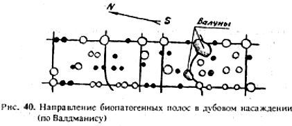 Биопатогенные зоны – угроза заболевания - _37.jpg